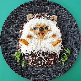 Hedgehog Herbee! 💚💚💚 Looking for a pi